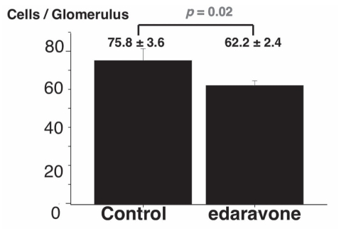 Figure 2)