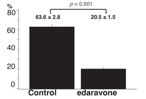 Figure 4)