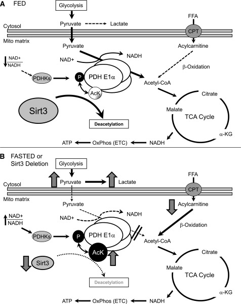 FIG. 7.