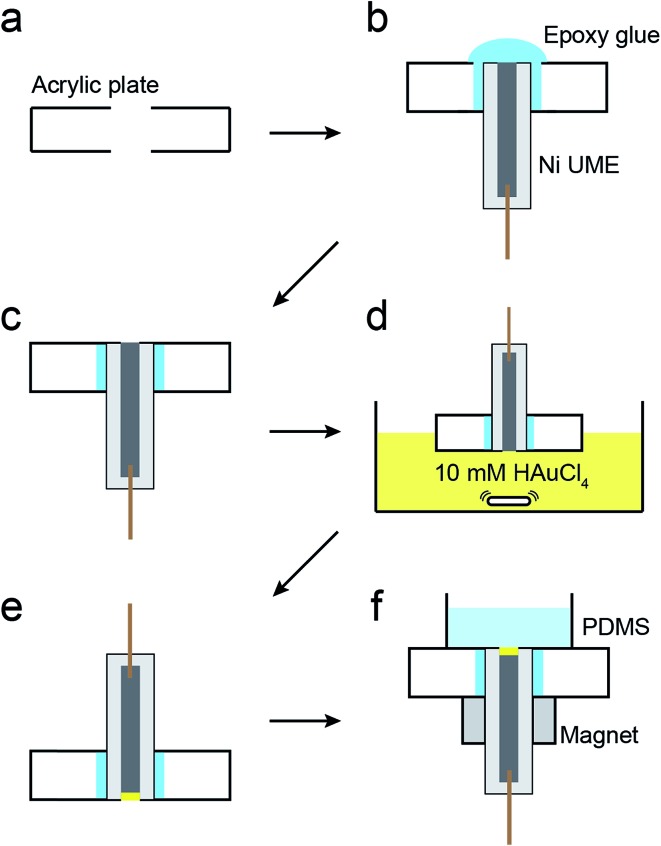 Scheme 2