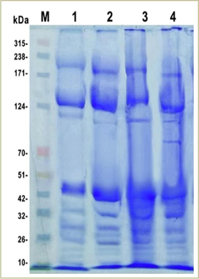 Fig. 5