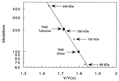 FIG. 1