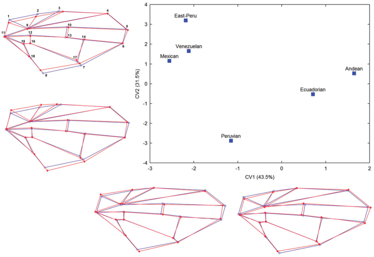 Figure 7.