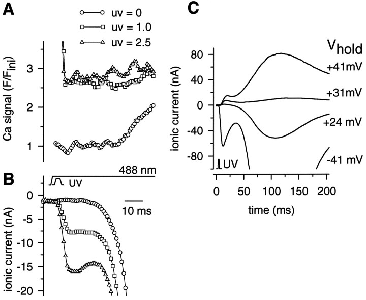 Fig. 6.