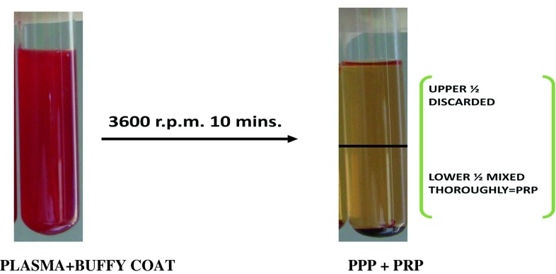 Fig. 6