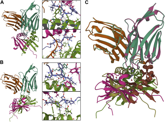 FIGURE 4