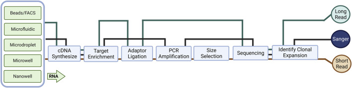 FIGURE 1