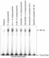 FIG. 7.