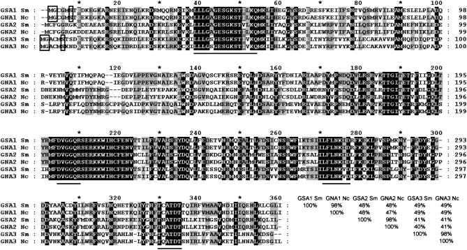 Figure 1.—