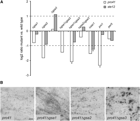 Figure 7.—