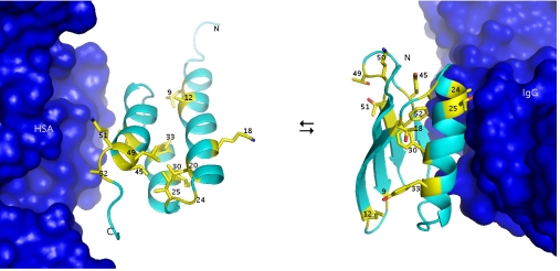 Fig. 1.