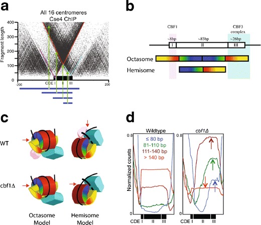 Fig. 4