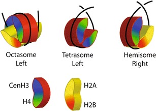 Fig. 1