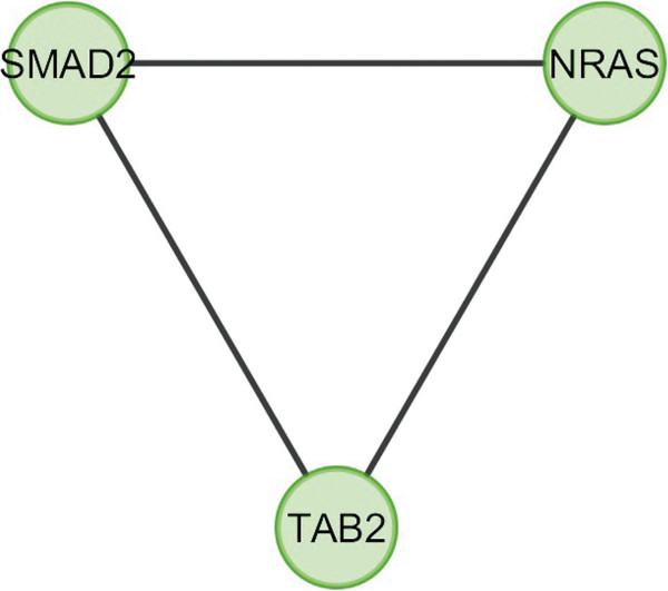 Figure 13