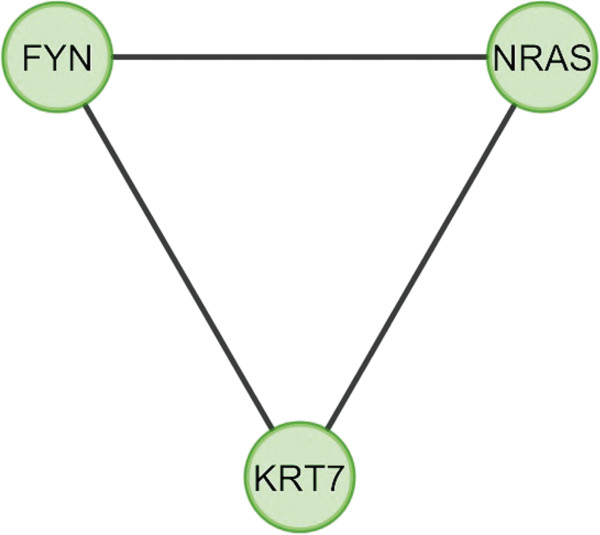 Figure 17