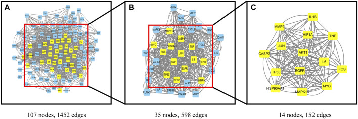 FIGURE 4