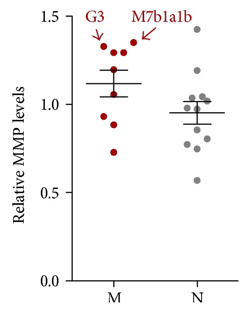 Figure 7