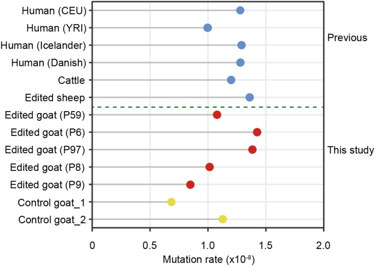 FIGURE 5