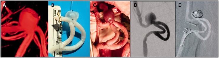 Figure 3.