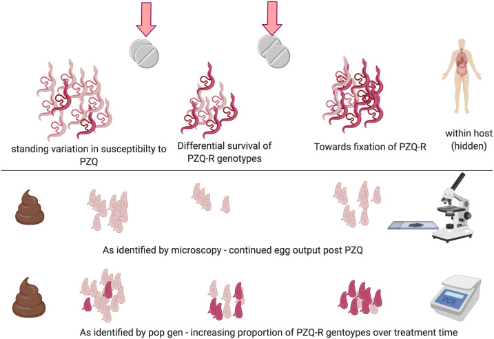 Figure 4.