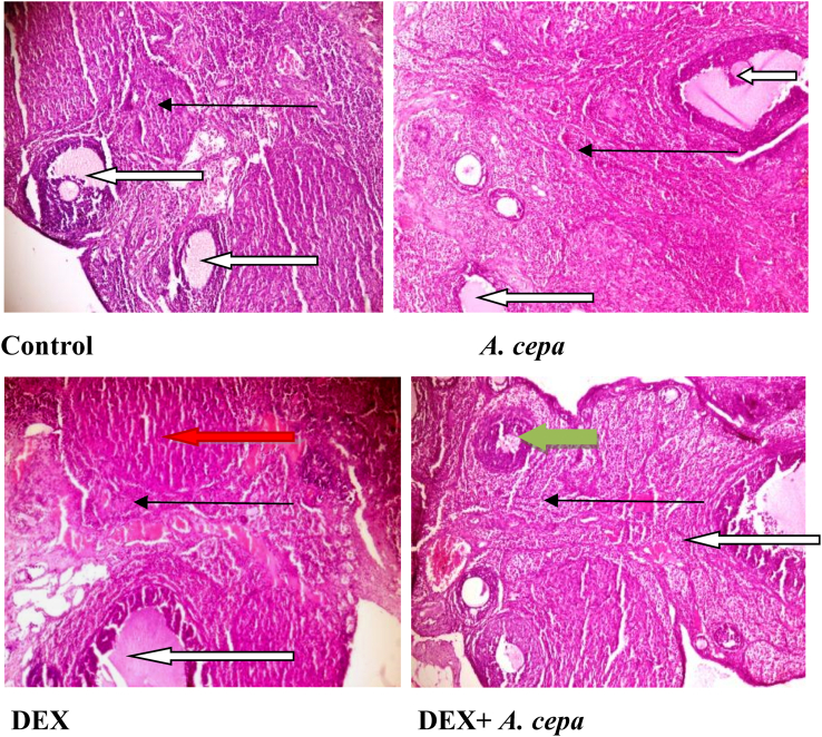 Fig. 4