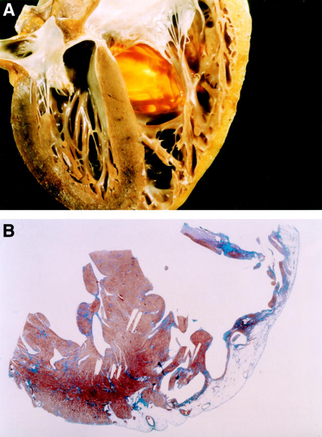 Figure 1:  