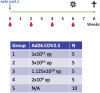 Figure S1