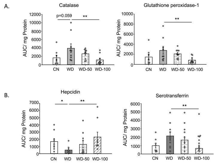 Figure 5—figure supplement 1.