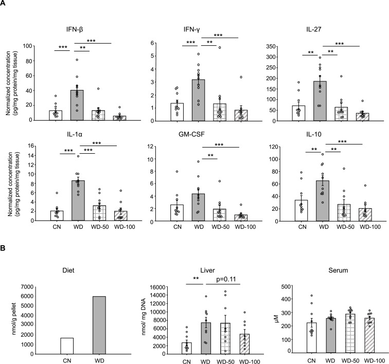 Figure 2—figure supplement 1.