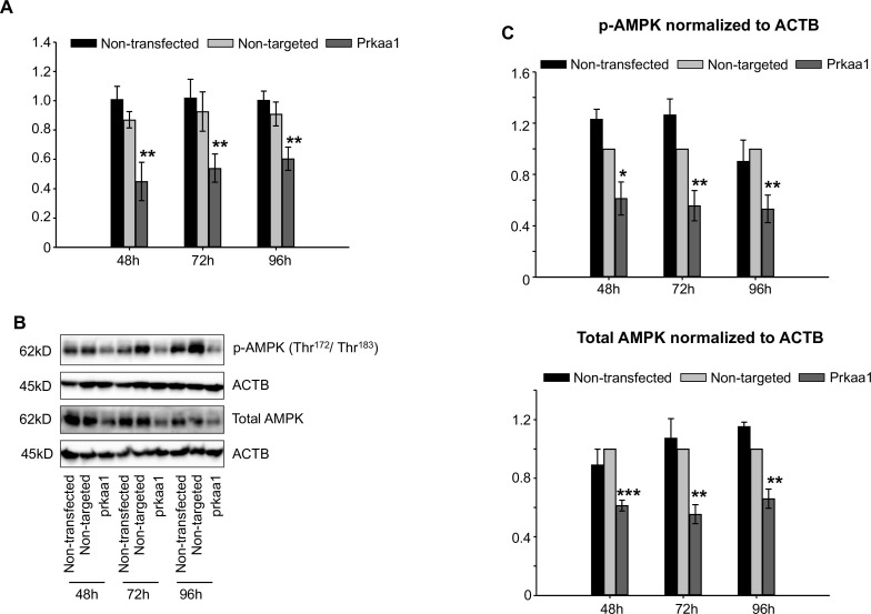 Figure 6—figure supplement 2.