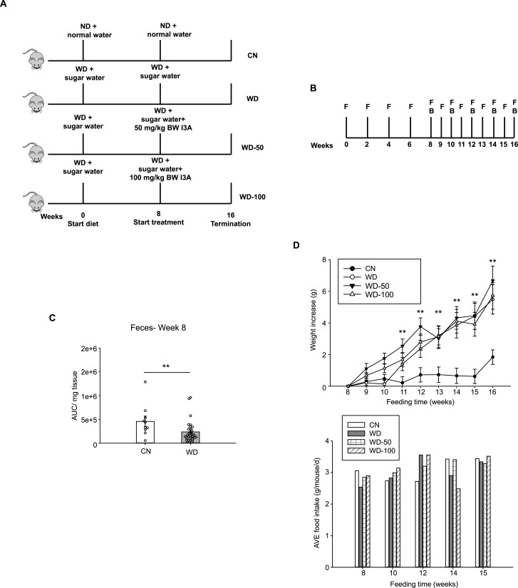 Figure 1—figure supplement 1.