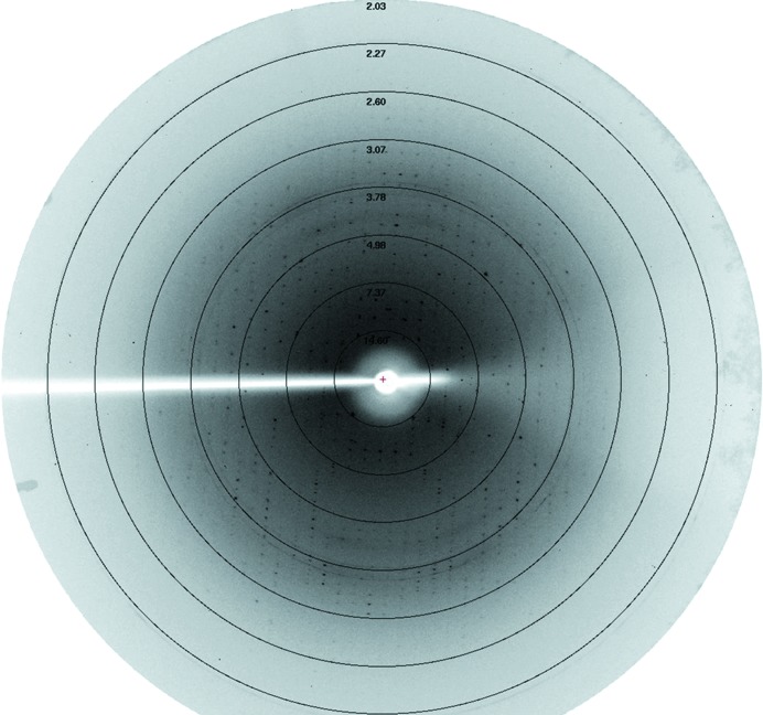 Figure 4