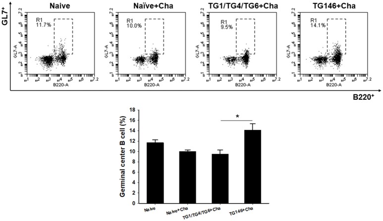 Figure 5