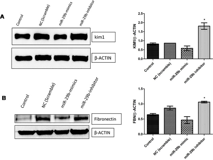 Fig 9