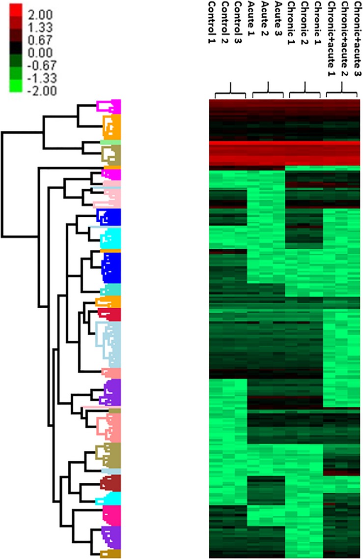 FIGURE 3