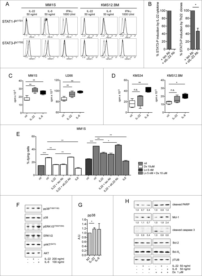 Figure 5 (see previous page).