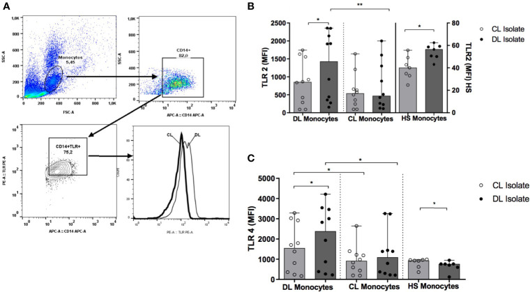 Figure 5