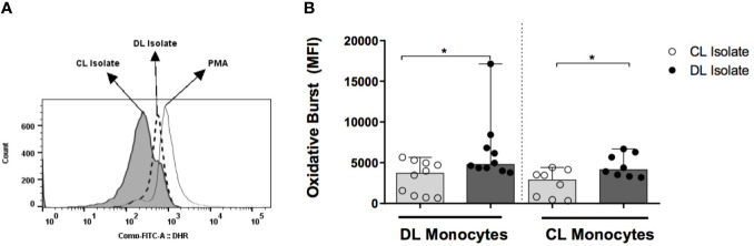 Figure 4