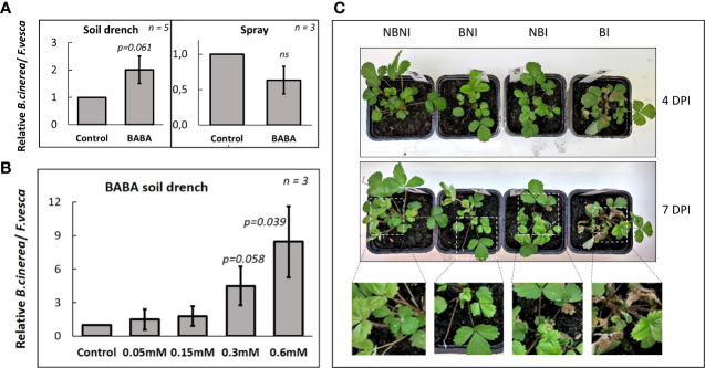 Figure 1