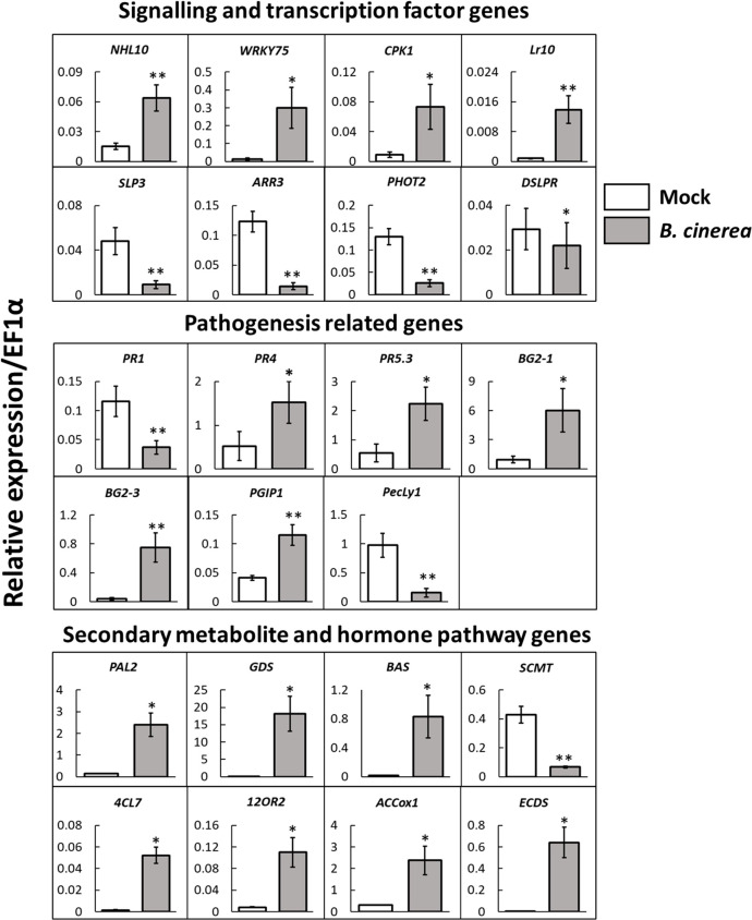 Figure 2