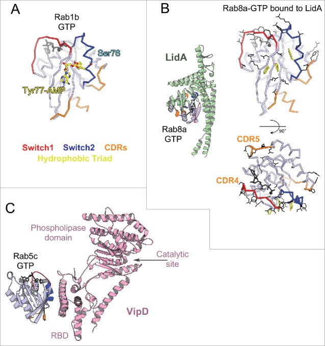 Figure 12.