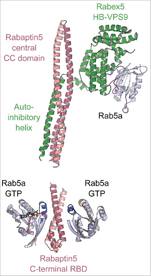 Figure 11.