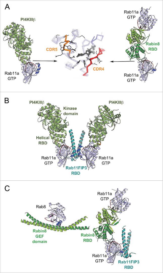 Figure 10.