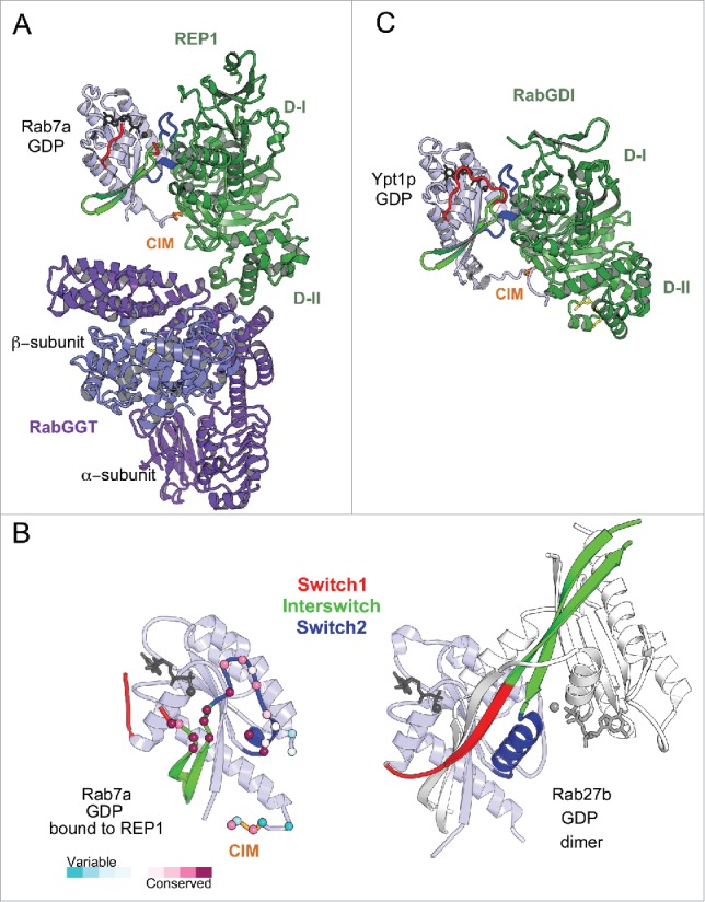 Figure 5.