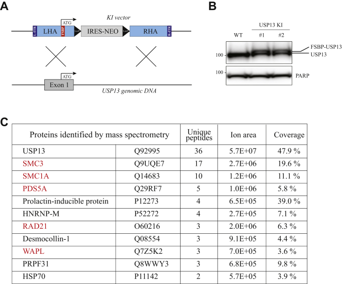 Figure 2