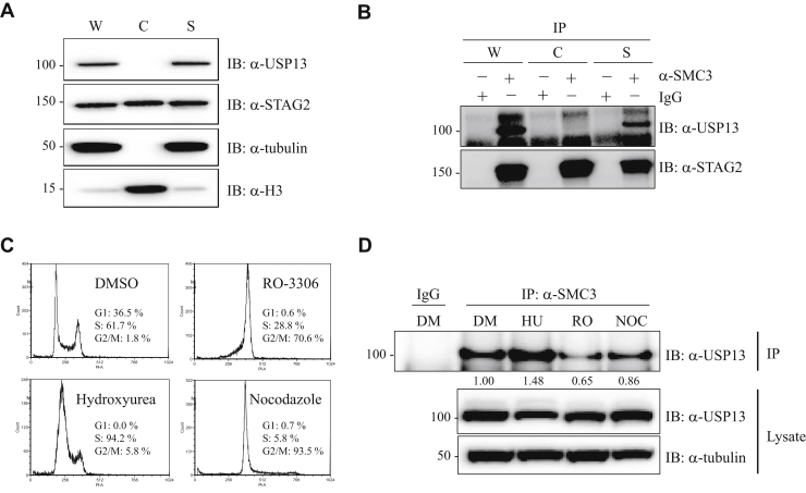 Figure 3