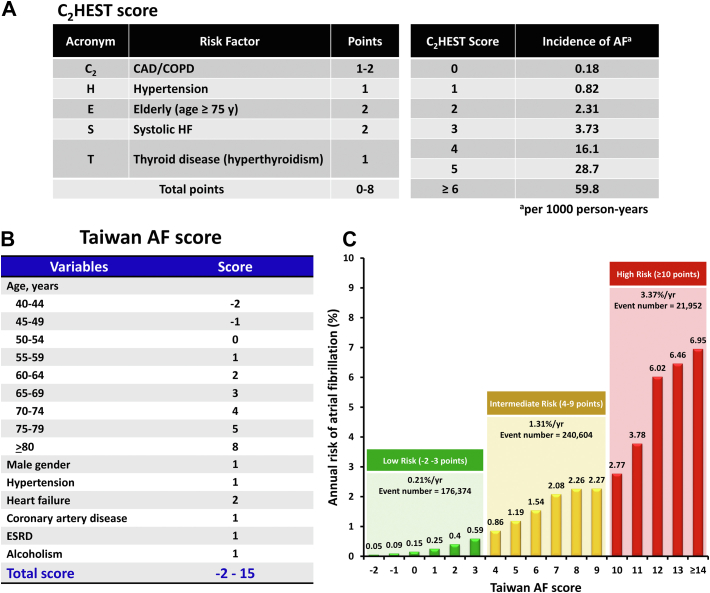 Figure 1