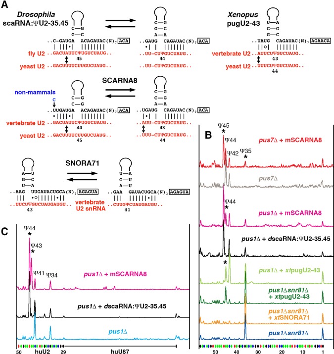 FIGURE 2.