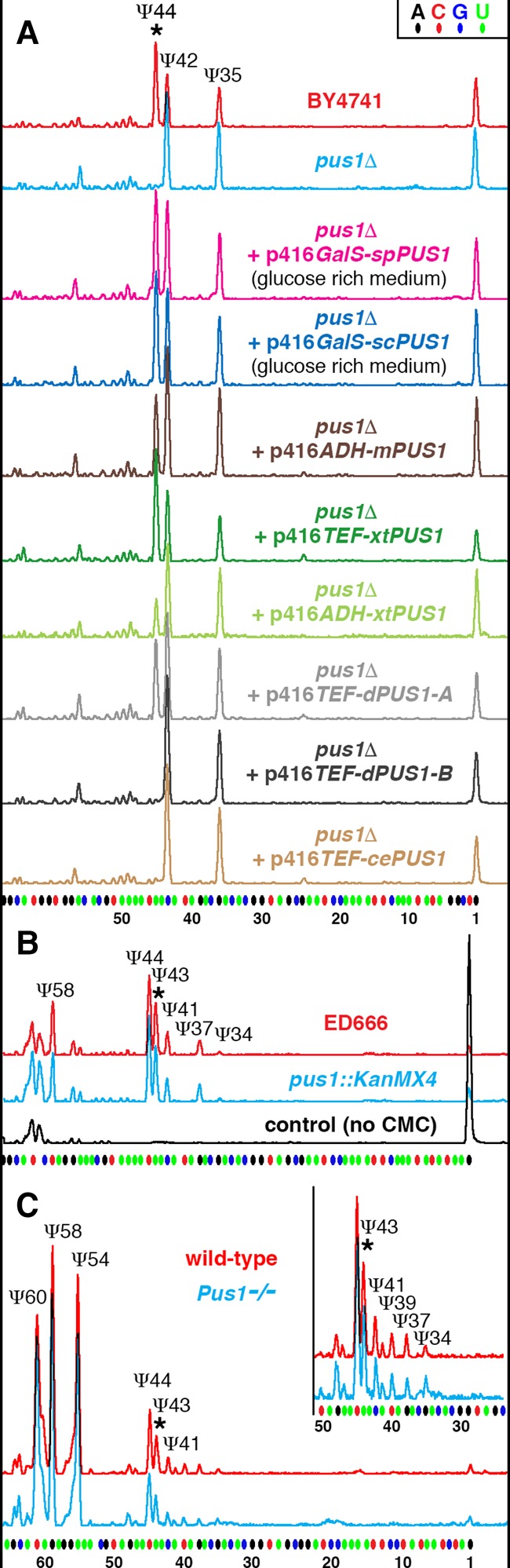 FIGURE 1.