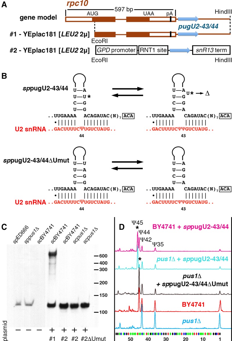 FIGURE 4.